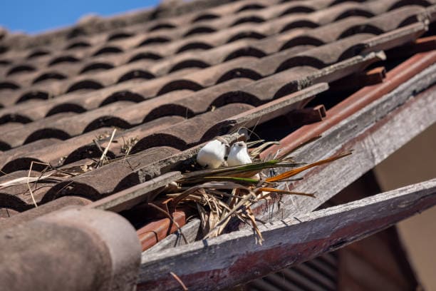 rives décoller fuite de toit